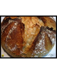 PAIN FESTIF 50G