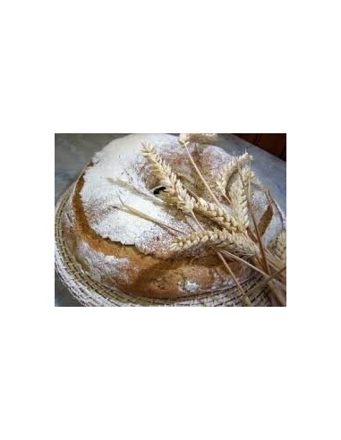 PAIN CEREALE L'ORIGINAL 50G