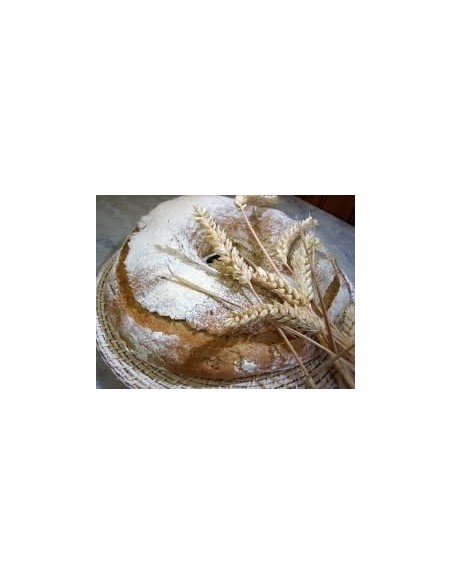 PAIN CEREALE L'ORIGINAL 50G